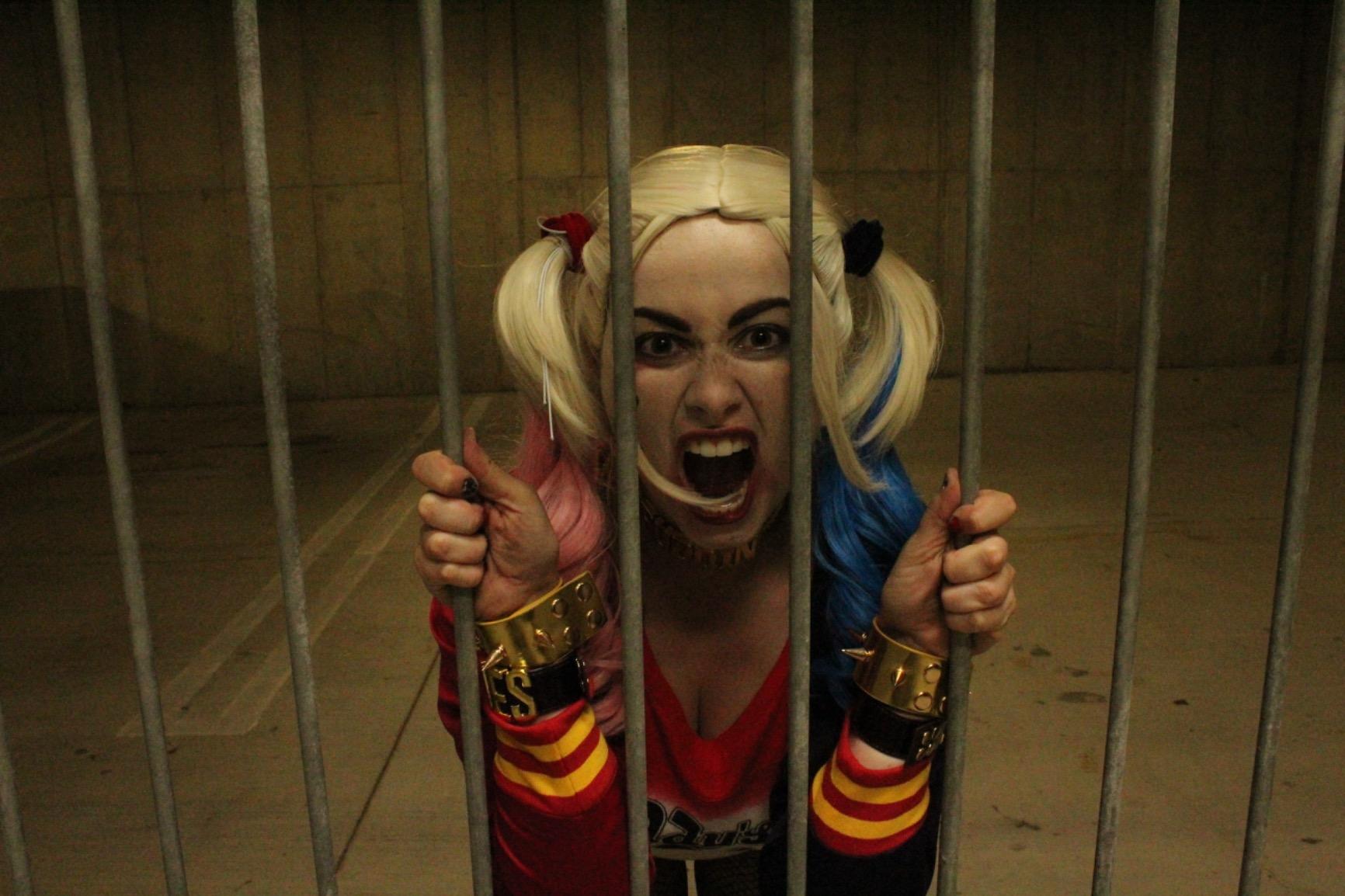 Women'S Harley Quinn Accessories - Pink and Blue Wig for Women
